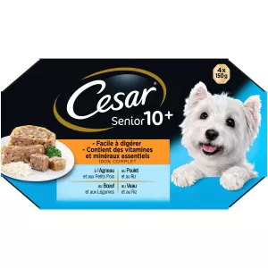 Senior Jelly hondenvoer 4x150g - CÉSAR
