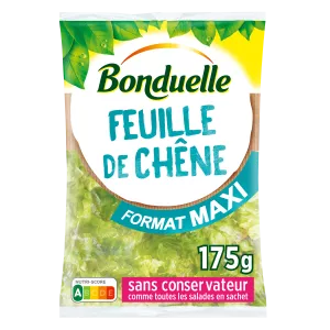 Feuille De Chene Maxi Format