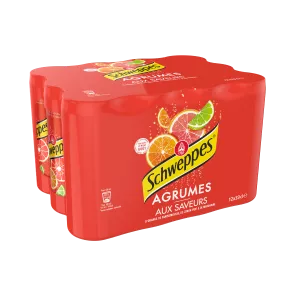 Schweppes Agrum Boites 12x33c