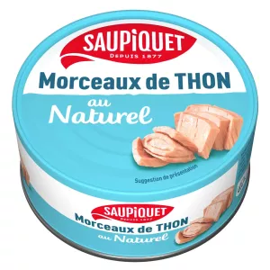 01 X 15 Thon Morceaux Naturel