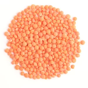 Lentille Rouge Football Entière Décortiquée 25kg - LÉGUMOR