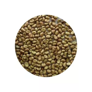 Féveroles 1kg - LÉGUMOR