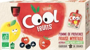 Compote à boire La Pat's Patrouille pomme de France fraise myrtille sans sucres ajoutés Bio COOL FRUITS 12x90 - VITABIO