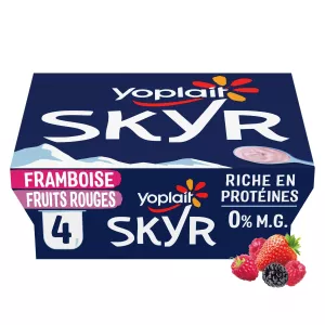 4x100g Skyr Frt Rode Yoplait