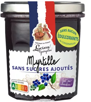 Preparação Mirtilo Ssa 320g - LUCIEN GEORGELIN