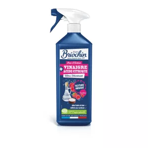 Mousse Detart Vin Briochin