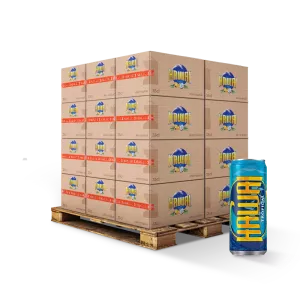 GASER TROPICAL GASER BOISSON 33CL FR X24 SLIM - Hawai