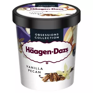 Pécan Vanilla Ice 400g- Haagen-Dazs - HÄAGEN-DAZS