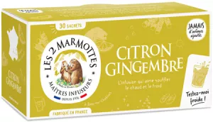 L2m Citron Gingembre X30 Sacht