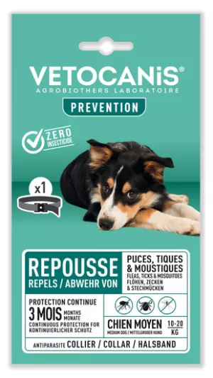Collier Insectifuge My Chien
