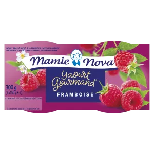 Yogurt de frambuesa gourmet con piezas de 2x150g - Mamie Nova