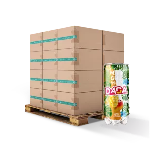 Mango Bruisend Water 33cl Fr X24 Slim - Dada