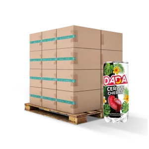 गैसर वाटर चेरी 33CL FR X24 स्लिम - Dada