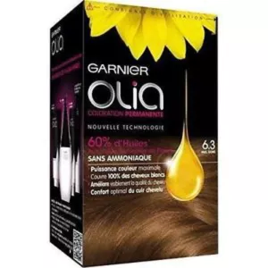 تلوين دائم 6.3 عسلي ذهبي غارنييه