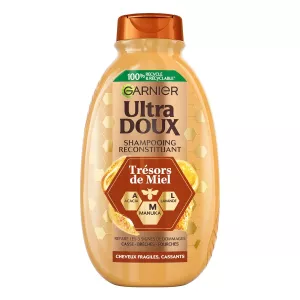 Trésors de Miel Champú Regenerador para Cabellos Fragilizados, 300ml - GARNIER