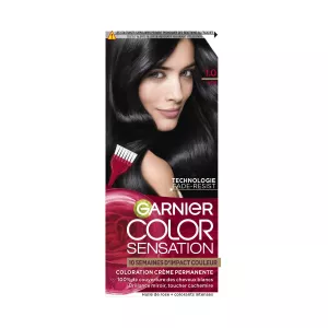 Coloration Noir 1.0 - GARNIER