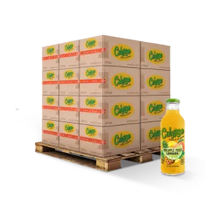 Calypso Ananas Perzik 473 ml X12 - Calypso