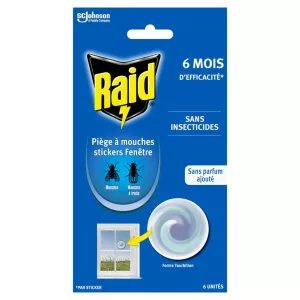 Raid Wndw Stckr Samenvatting 6ea 24