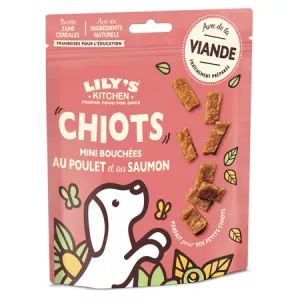 Lk Snacks Chien Junior Mini Bo