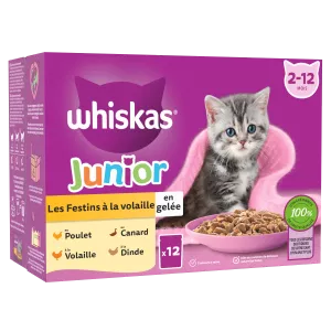 Les Festins Poultry Feast Kitten Food in Jelly X12 -  Whiskas