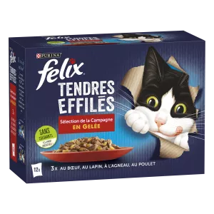 Adult Cat Food in Jellied Beef, Rabbit, Lamb & Chicken 12x85g - PURINA FELIX