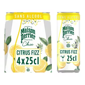 Boisson Gazeuse Aromatisée Citrus Fizz 4x25cl - Perrier