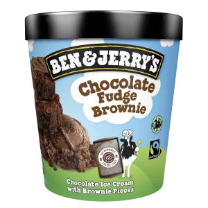 Schokoladen-Fudge-Brownie - BEN & JERRY'S