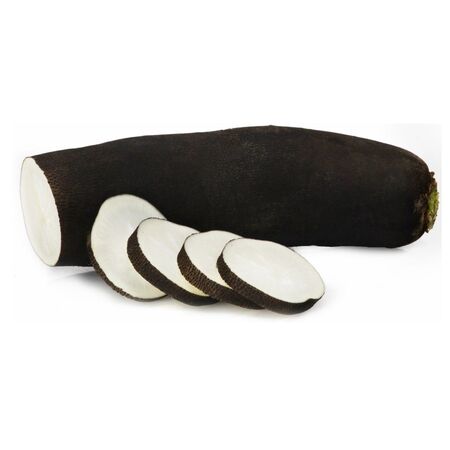 Biologische Zwarte Radijs Pce Ruban Fr - SANS