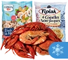Grossiste Fruits de Mer et Crustacés Surgelés