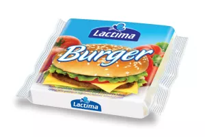 Burger (6) 100gr Cx13