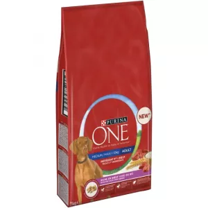 Croquette Chien Adulte 7kg - PURINA ONE